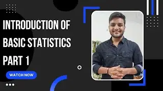 A Beginner's Guide to Statistics: Understanding the Fundamentals and Building a Roadmap to Success