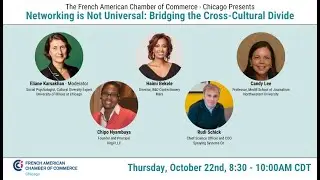 Professional Mentoring Committee - Networking is Not Universal: Bridging the Cross-Cultural Divide