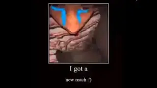 i got a new roach :')