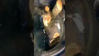 Red eared slider, Cumberland slider set up