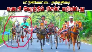 பட்டுக்கோட்டை நடுகுதிரை 04/12/2022 pattukottai nadukuthirai ksk