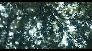 MrRn - AKETE (prod.MrRn) Official Music Video