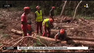 Une formation de bûcheron dans la forêt de Bélouve, une première