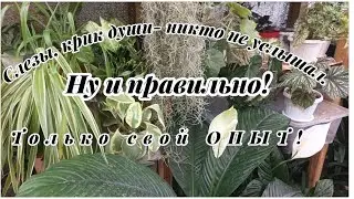 ВСЕ СВОБОДНЫ🥳