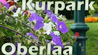 Kurpark Oberlaa - Ein Pflanzenparadis im Süden Wiens!