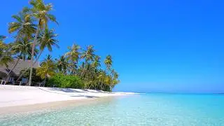 Maldives Hidden Island Retreat 🏝 Turquoise waters of the ocean 4K Ultra HD