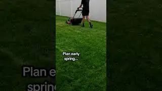Spring Lawn Prep ⚡ #OverseedingPlanning #WinterLawnCare #DormantGrassCare #HealthyLawn #SeasonalLawn