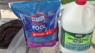 Removing Algae From Pool