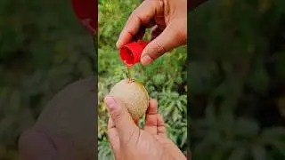 New recipe wood apple😋How to make Easy recipe | #shorts #food