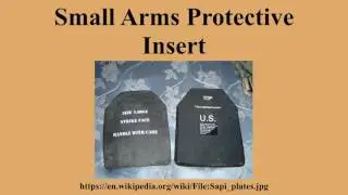 Small Arms Protective Insert