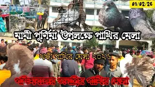 😱মাঘী পূর্ণিমা উপলক্ষে পাখির মেলা2026 খঞ্চী পাখির মেলা।। Recent khanchi birds mela@Samimalcare99 