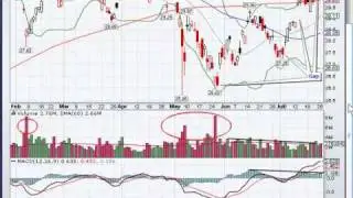 07-26-2010 A Free Nightly Stock Alert Video (UN)