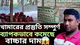 আমাদের খামারের আপডেট। বাচ্চা কবে নিচ্ছি। বাচ্চার বাজার দর। broiler chicks price। farming business 