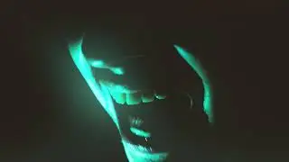 Blind Seagull - Inanity (Official Video)