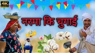 dhakad tai_नरमा कि चुगाई ।। narma ki chugai haryanvi rajsthani comedy video  #dhakadtai