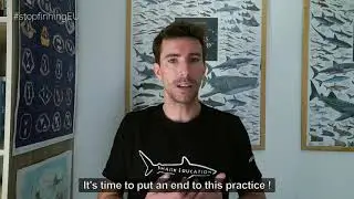 Steven Surina joins fight against shark fin trading in Europe