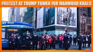 Protesters Flood Trump Tower, Demanding Release of Palestinian Student Protestor Mahmoud Khalil
