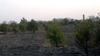 Pożar  traw  w  Bukownej i  Liscu .