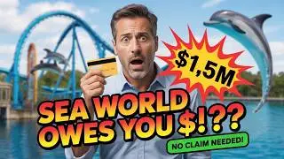SeaWorld Owes You Money? $1.5M Settlement Explained