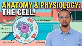 1. The cell - Introduction