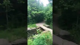 Chickasaw National Recreation Area - Antelope Springs Trail on 6-15-2023 #naturemeditation #hiking