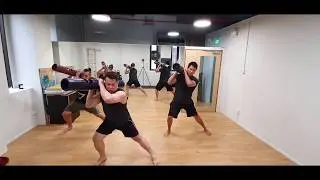 ViPR Warrior Flow Part 2