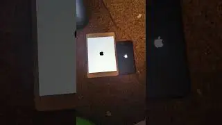 Ipad mini 5 and iphone 11 stuck on Apple logo.