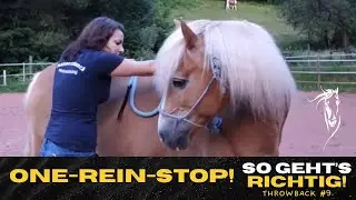 👉 One-Rein-Stop erklärt – So funktioniert der sichere Notstopp beim Reiten! #bodenarbeit #pferde 