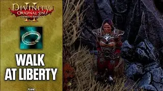 Divinity: Original Sin 2 - Walk at Liberty Achievement | Trophy Guide