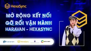 T&iacute;ch hợp Haravan v&agrave; Misa Amis bằng nền tảng t&iacute;ch hợp HexaSync