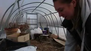 ✨❄️ JANUARY VLOG &mdash; PLANTING SEEDS, COZY WINTER HOME & DOGS BY THE FIRE ❄️🔥✨
