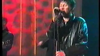 Shane MacGowan & The Popes - Rock N' Roll Paddy