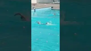 DAB public school national swiming competition  এ  পশ্চিমবঙ্গ winner gold medal পেল বাঁকুড়ার ঐনিক