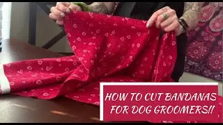 How to Cut Bandanas for Dogs &mdash; Easy Tips for Groomers! 🎀🐾