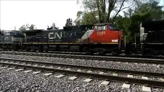 UP NS and CN Power lead a manifest east through La Fox IL