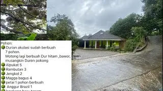 Rumah besar mewah L:1050 AJB Rp.720juta pinggir mobil air sumur bor durian berbagai jenis berbuah  