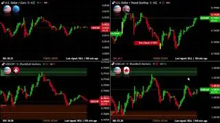 USDCAD USDCHF USDEUR USDGBP FOREX LIVE EDUCATIONAL CHART ( CAD, CHF, POUND, EURO )