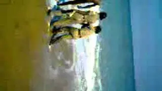 pulicut police adi by thangasuresh