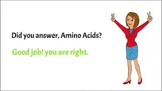 Want to score well in Biology? Start by checking your knowledge in Amino Acids