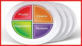 Portion control plate MyPlate for Teens or Adults 4pk- Healthy nutrition plate for balanced eating