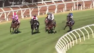 Flemington Jumpouts | 22 August 2014 | Heat 10