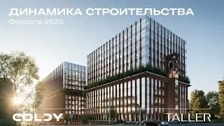 Динамика строительства Taller | 2025 Февраль