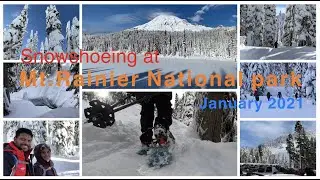 SnowShoeing @ Narada Falls, Mt.Rainier National Park, Washington | 2021 January 09 | OurTravelHikes