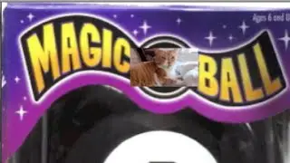 MAGIC CAT BALL // Kate Welshofer