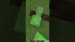 Build an elevator in Minecraft#minecraft#elevator