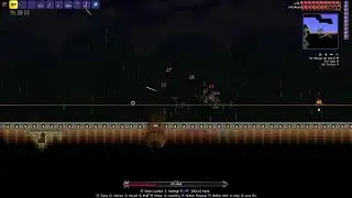 Terraria with Martin's dog