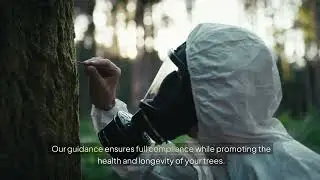 Tree Health Consulting - Tree Amigos Professional Tree Care - Lewes, East Sussex - 07729493611