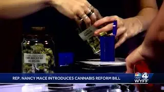 GOP Rep. Mace&rsquo;s bill would federally decriminalize marijuana