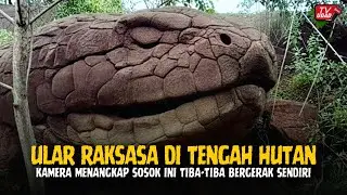 WARGA PANIK‼️ Rekaman Ular Raksasa yang Menjadi Batu Ini Tampak Bergerak dan Mengeluarkan Suara Aneh