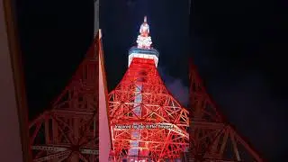 Tokyo tower and skytree  #TokyoTower #TokyoSkytree #JapanLandmarks #TokyoViews  #SkytreeVsTokyoTower
